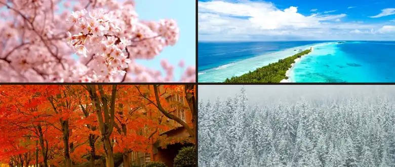 四季折々の色を見せる日本の四季
