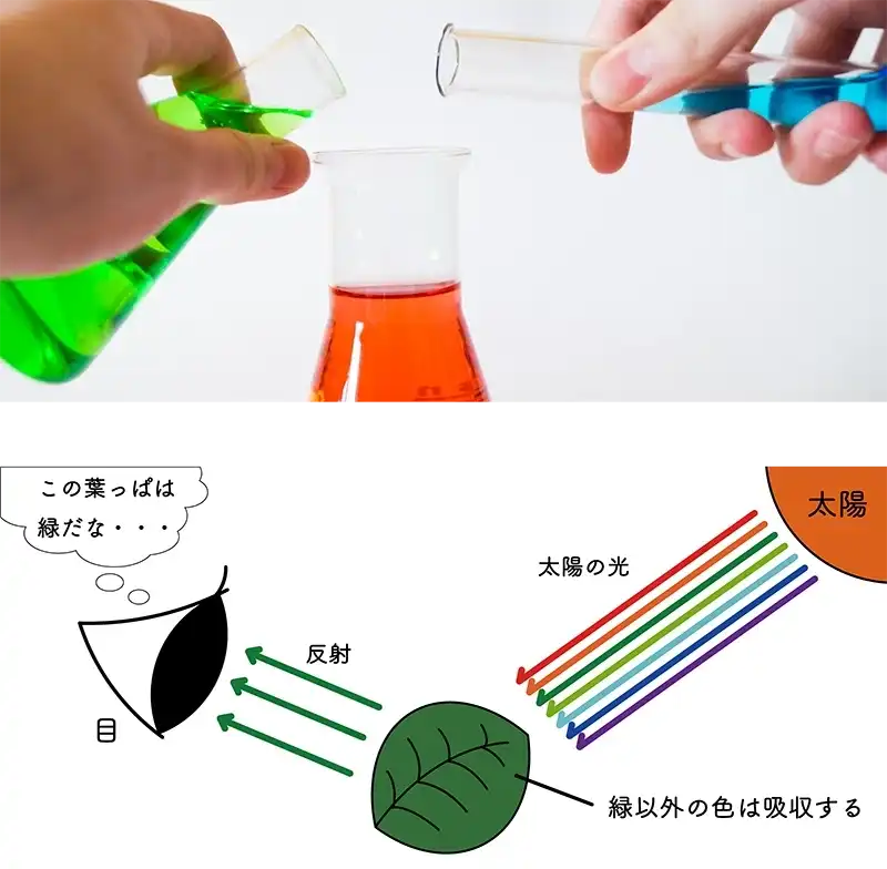 人間が色を認識するときの図