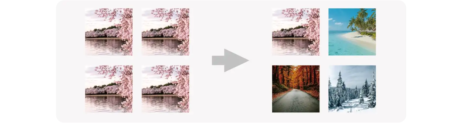 コピーをした後、写真を差し替えたデザイン
