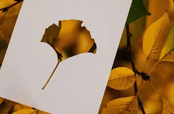 AirPriで写真をさまざまな形に切り取っているイメージ