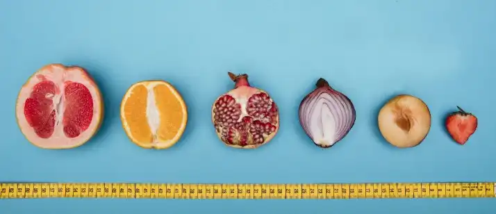 色々なサイズの果物