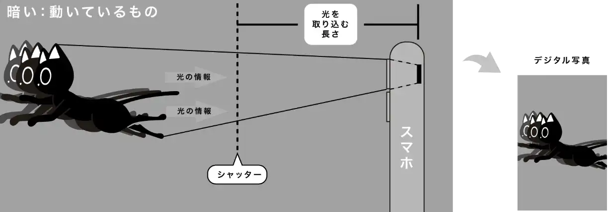 暗い所は光量が少ないので写真が撮りにくい