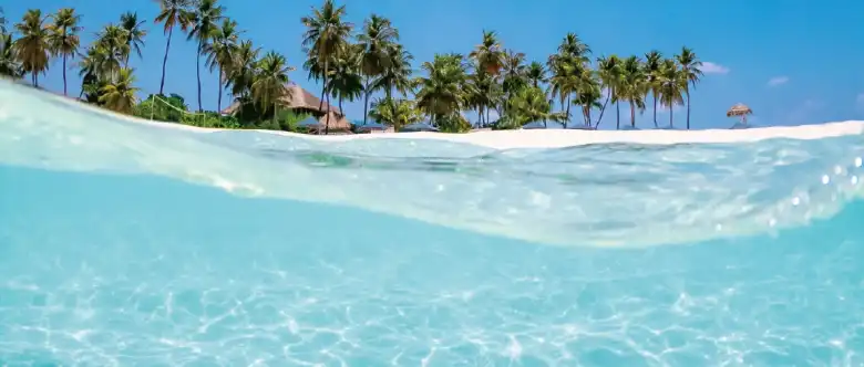 よく晴れた日の穏やかな海の写真