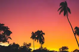 綺麗なグラデーションの夕焼けの空