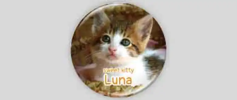 ペットのオリジナルデザインの缶バッジ