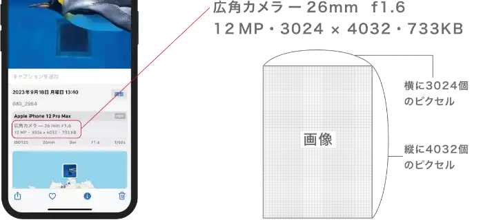 iPhoneの場合ピクセルも表記されている