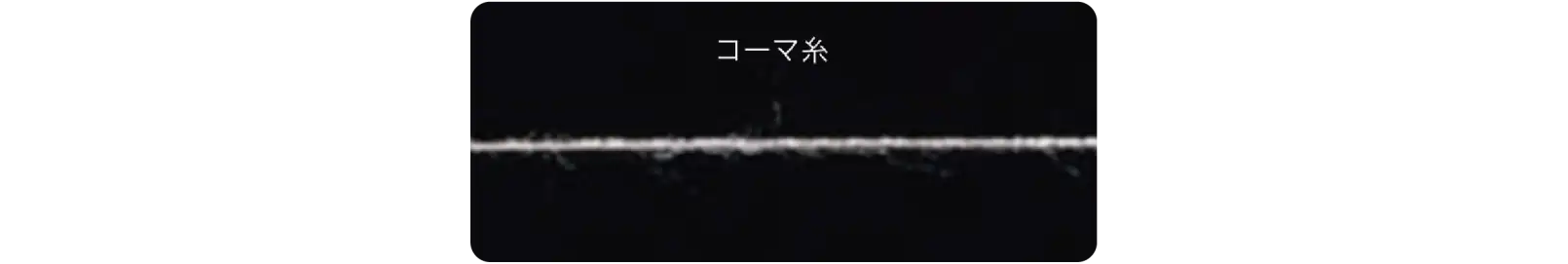 Tシャツ生地の素材になるコーマ糸