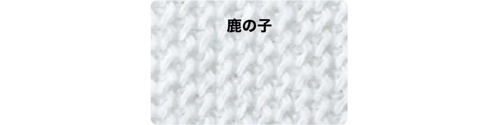 Tシャツ生地素材にもなる鹿の子編み