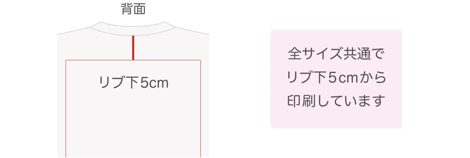 Tシャツの背面の印刷範囲は全サイズ共通になっている