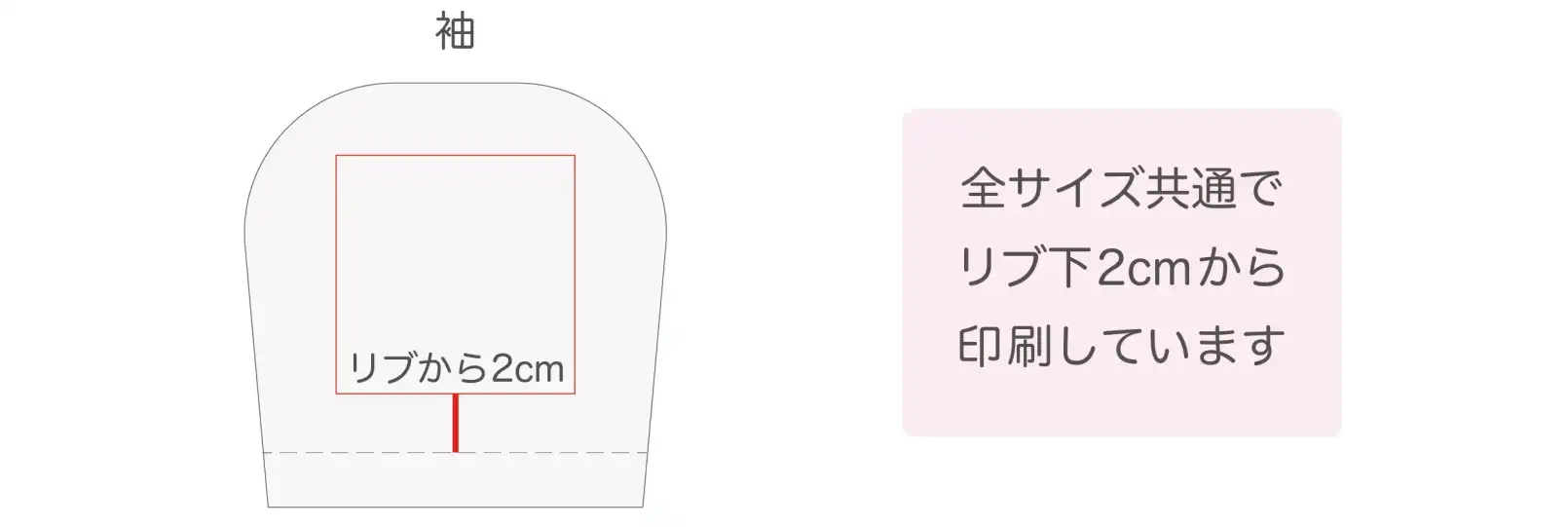 Tシャツの袖は全サイズ共通になっている
